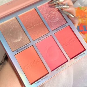 6 Shade Highlighter